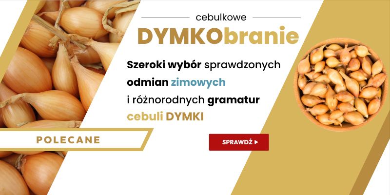 CEBULA Dymka zimowa 2025 (Dymkobranie) - Grafika