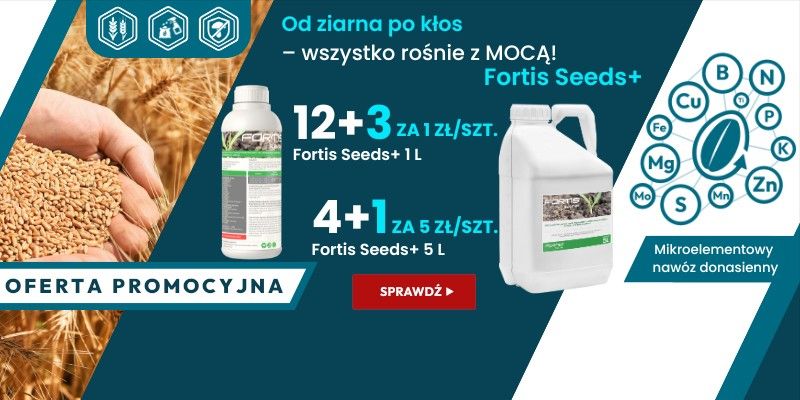 FORTIS - FORTIS SEEDS+ 2025 B2B WIALAN - Grafika