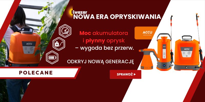 KWAZAR ACCU B2B WIALAN KWAZAR ACCU B2B WIALAN - Grafika