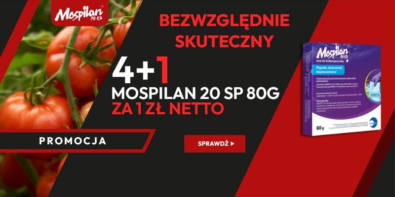 SOR - MOSPILAN 20 SP 80g 4+1 2025 B2B WIALAN - Grafika