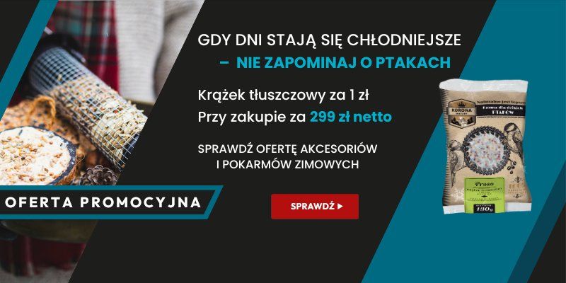 Karmnik i pokarm zimowy