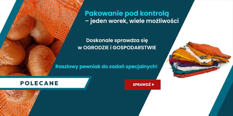 WORKI RASZLOWE 2025 B2B WIALAN - Grafika