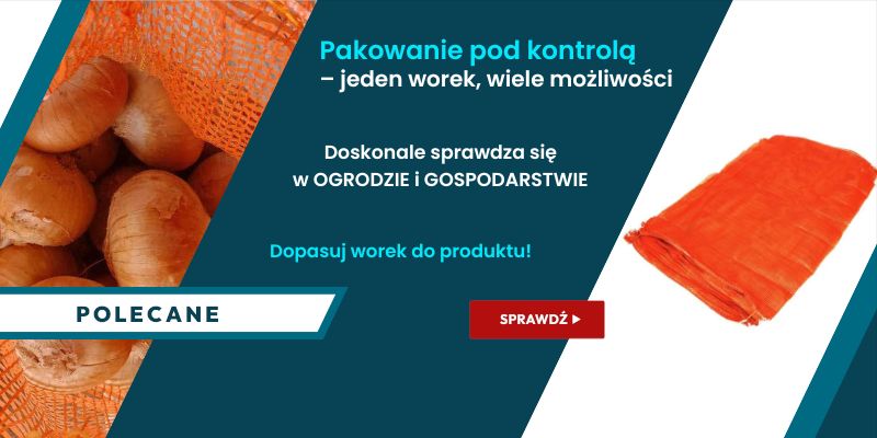 WORKI SIATKOWE 2025 B2B WIALAN - Grafika