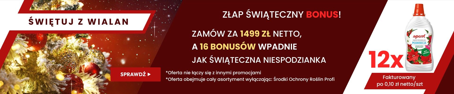 AKCJA ŚWIĄTECZNA B2B - Grafika