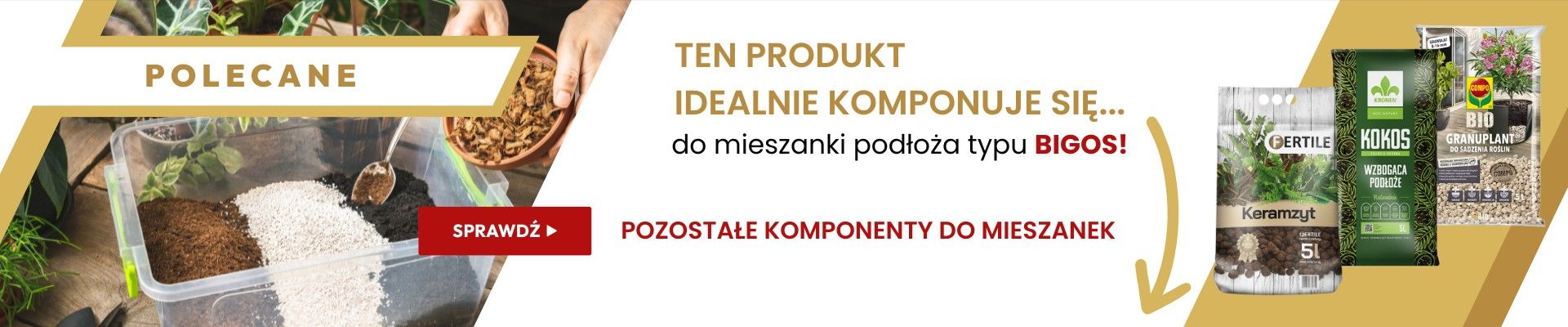 PODŁOŻA - Bigos 2025 B2B WIALAN - Grafika