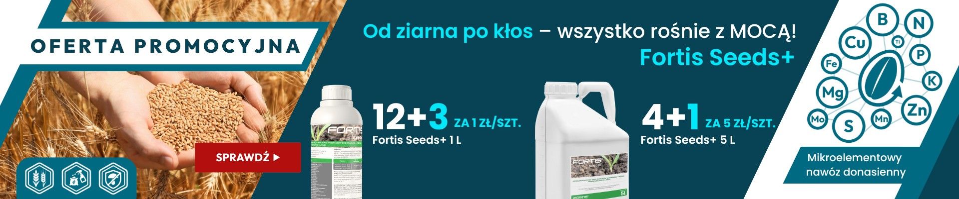 FORTIS - FORTIS SEEDS+ 2025 B2B WIALAN - Grafika