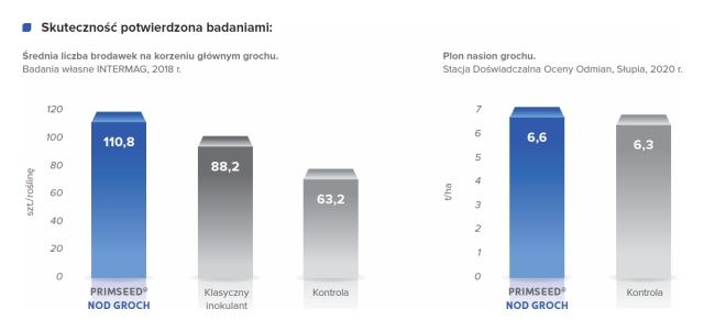 Efekt działania Primseed Nod Groch 