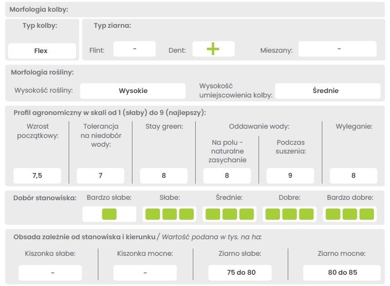 Cechy odmiany kukurydzy DKC 3969 Bayer