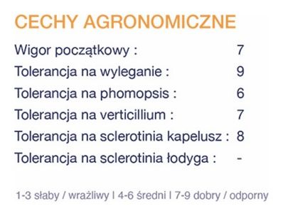 Cechy agronomiczne słonecznik MAS 808.OL