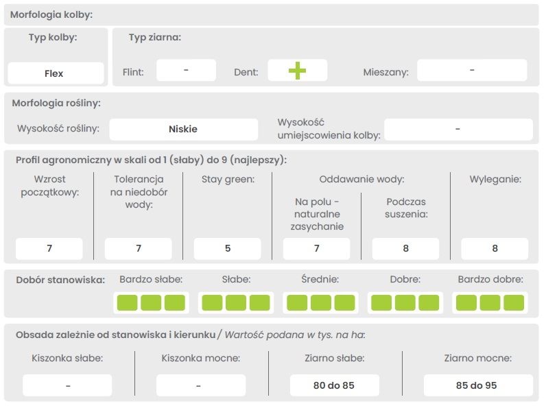 Cechy odmiany kukurydzy 251T Maisadour