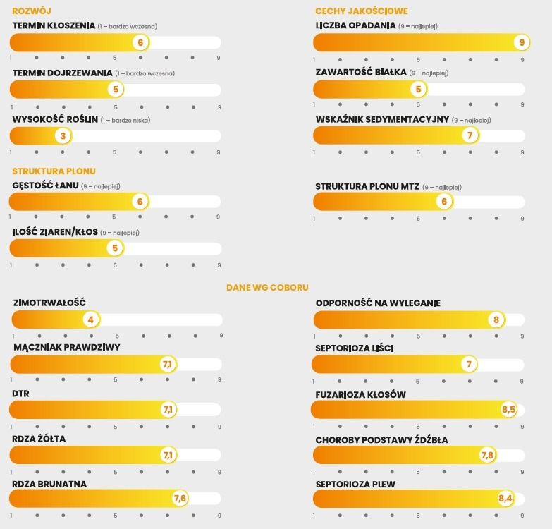 Cechy odmiany pszenicy Absint