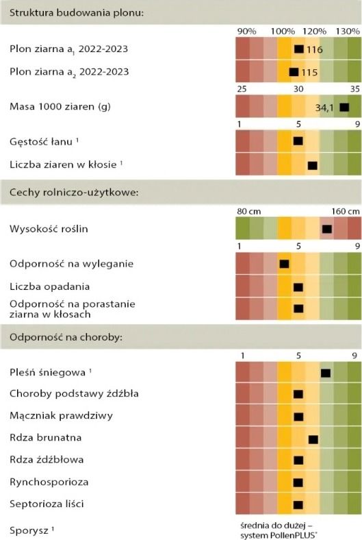 Cechy odmiany żyta ozimego KWS Fidalgor