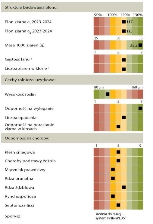 Cechy odmiany żyta Erabor