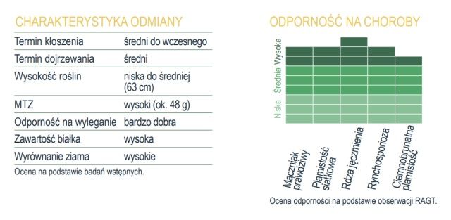 Cechy charakterystyczne odmiany jęczmienia RGT Gagarin