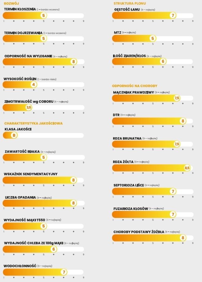 Cechy odmiany pszenicy zwyczajnej ozimej Sanseo C1