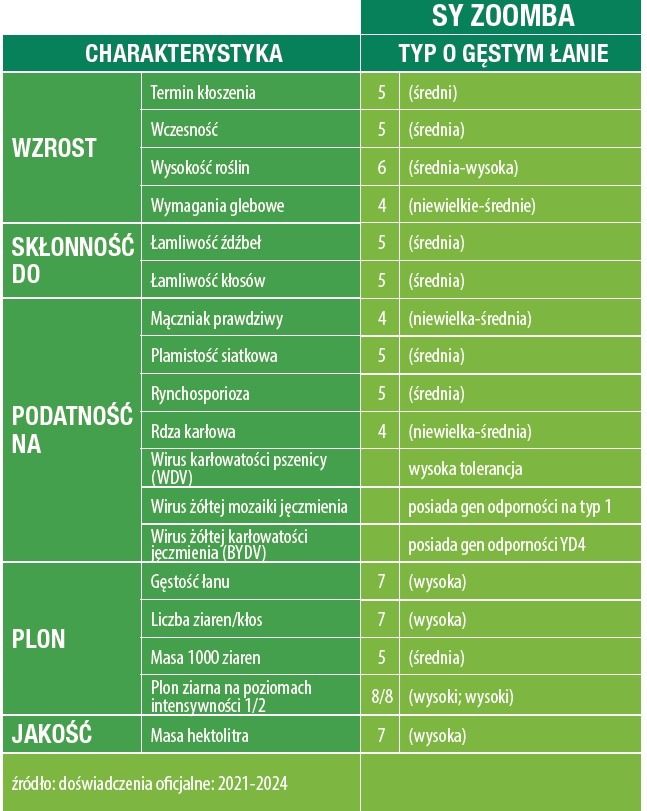 Cechy odmiany jęczmienia ozimego SY Zoomba F1 C1 Syngenta