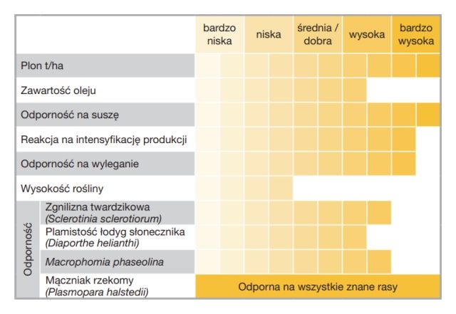 Cechy odmiany słonczenik Suomi HTS