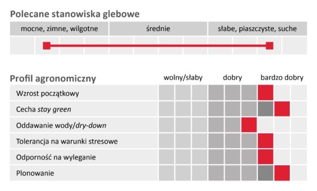 Profil odmiany kukurydzy LG 31.271