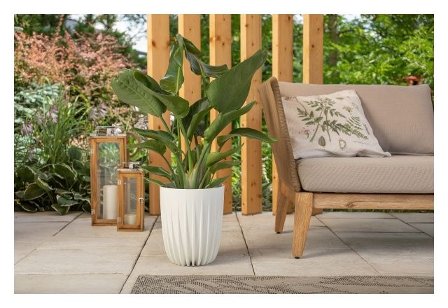 Doniczka Mira Lamela