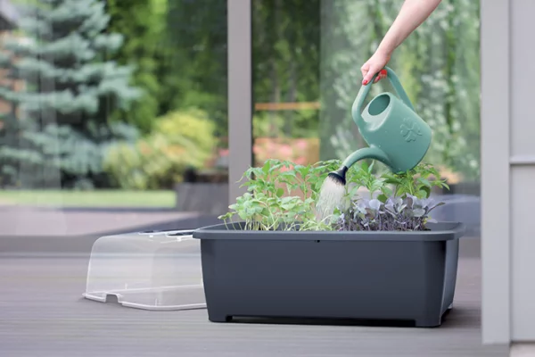 Rośliny w szarym rozsadniku Respana Planter Set