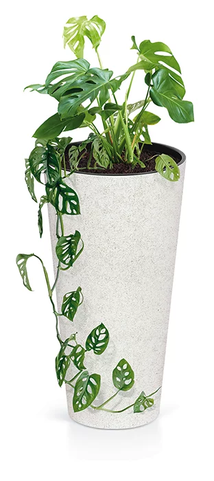 Doniczka Tubus Slim Eco Wood DTUSW Prosperplast - aranżacja
