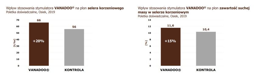 VANADOO - skuteczność w selerze, poletka doświadczalne Osiek 2019