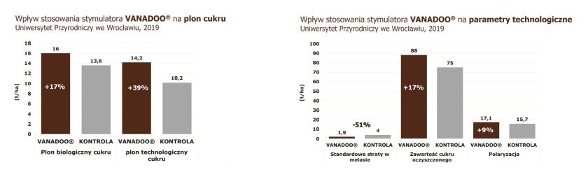 VANADOO - skuteczność na plon cukru, Uniwersytet Przyrodniczy we Wrocławiu 2019