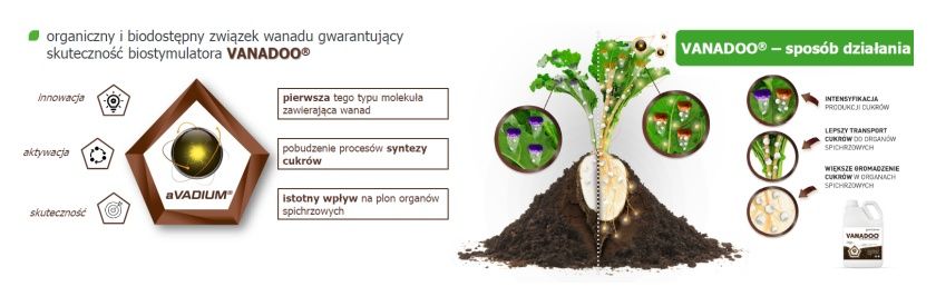 aVADIUM - innowacyjna molekuła