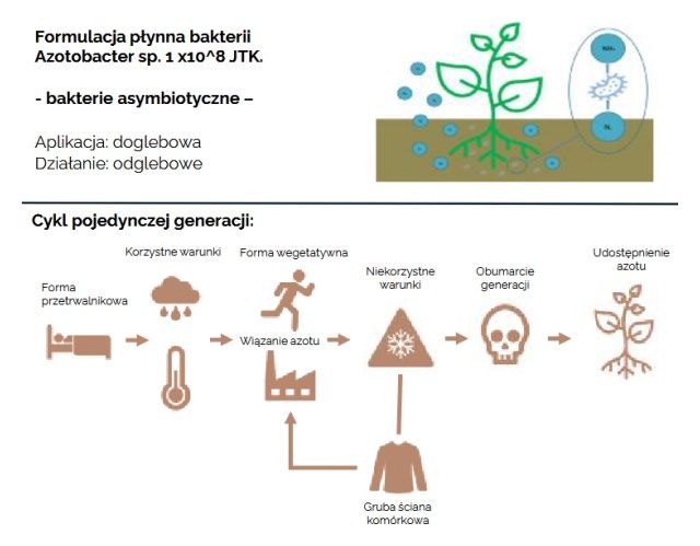 Schemat działania doglebowego