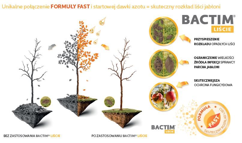 Nawóz BACTIM liście z formułą fast