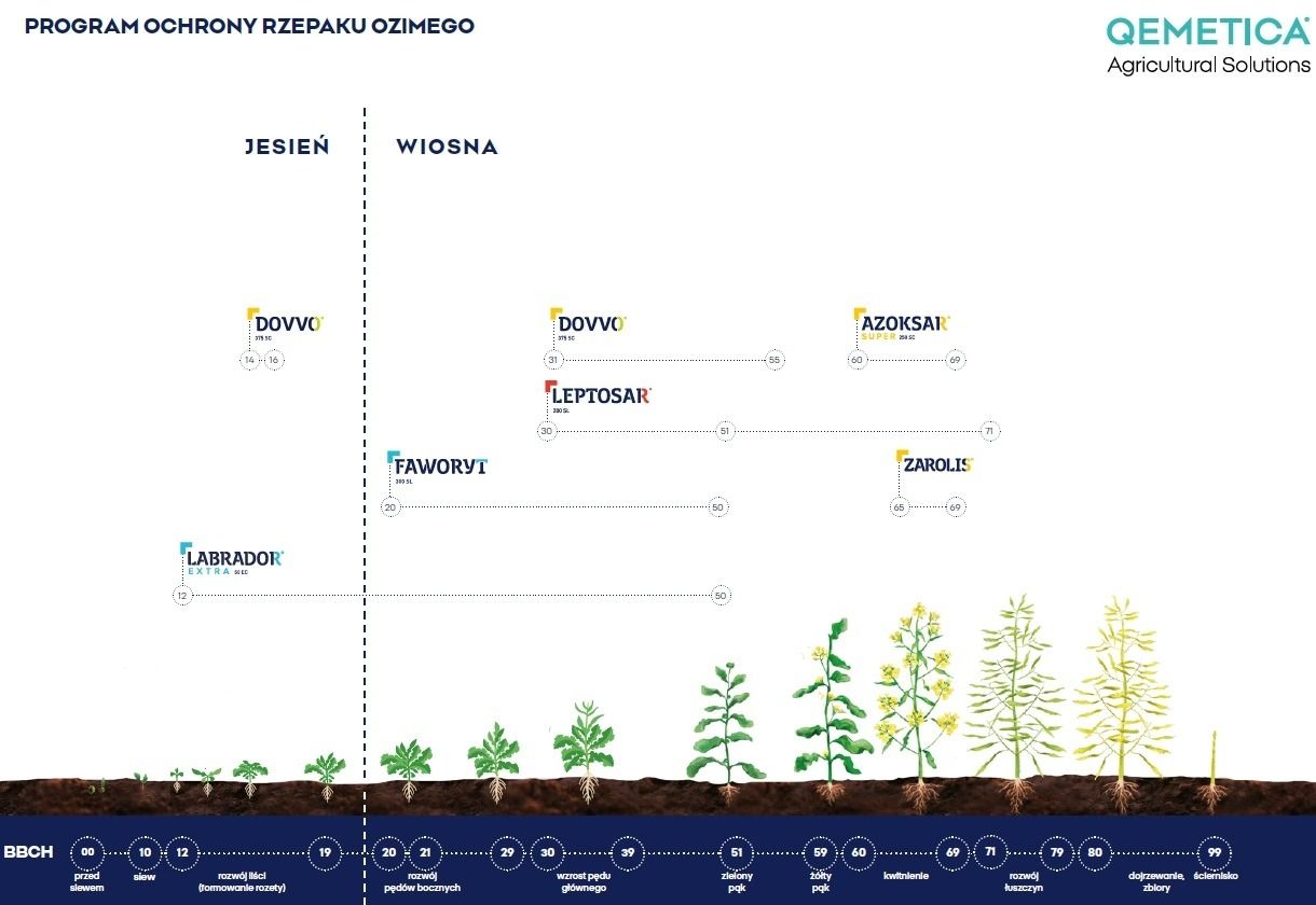 Program ochrony rzepaku ozimego
